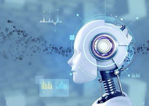 探針盒子 開啟互聯網數據服務新篇章與大數據變現創新路徑